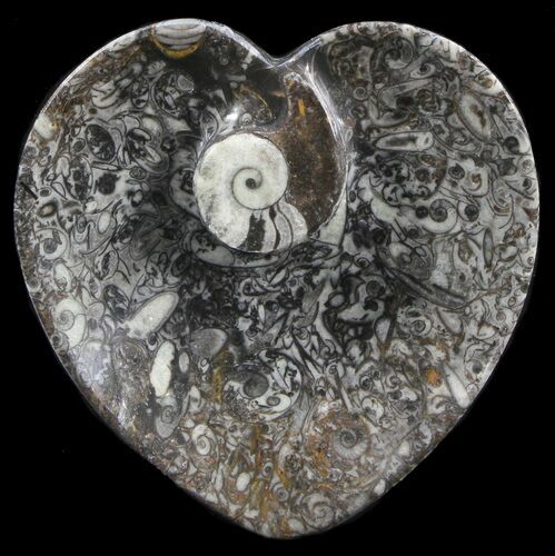 Heart Shaped Fossil Goniatite Dish #39382